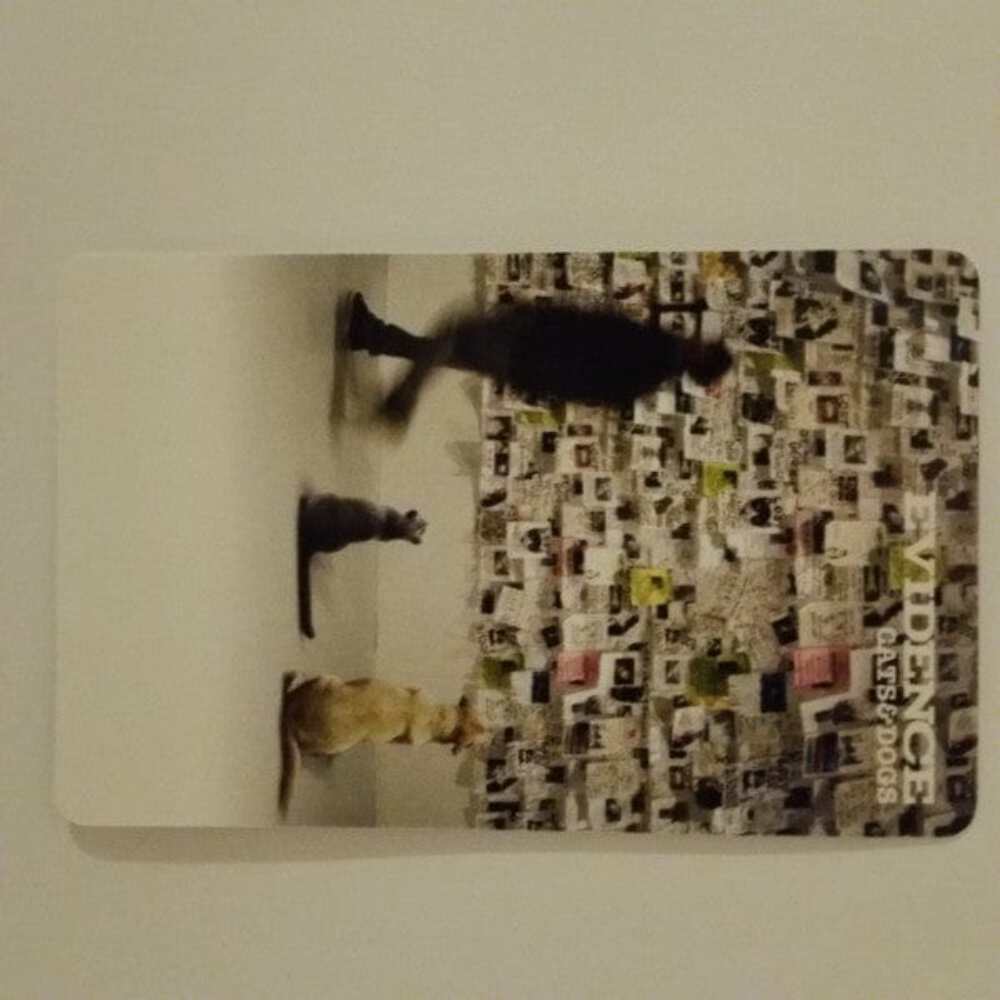 Evidence - Cats & Dogs (LP+LP) (Yellow+Pink) 826257014412| eBay