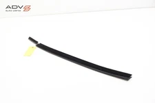 2024 - 2025 CHEVROLET BLAZER EV FRONT LEFT SIDE DOOR WINDOW INNER BELT SEAL OEM