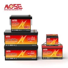 12V 24V 36V 48V 100Ah 200Ah 300Ah 400Ah 600Ah LiFePO4 Lithium Battery BMS Solar