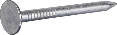 The  Group 42041 Galvanized Roofing Nails, 1-Inch, 100 Count (Pack of 1)