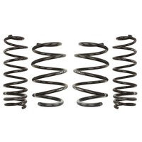 Fahrwerksatz, Federn Eibach Pro-Kit E10-75-012-02-22