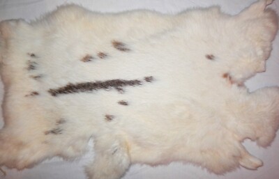 9''x17'' Tanned Rabbit Skin Hide Pelt Natural Decor #1578