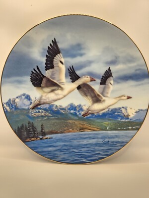 Winter Wings: Snow Geese. Birds of the North Collector Plate.