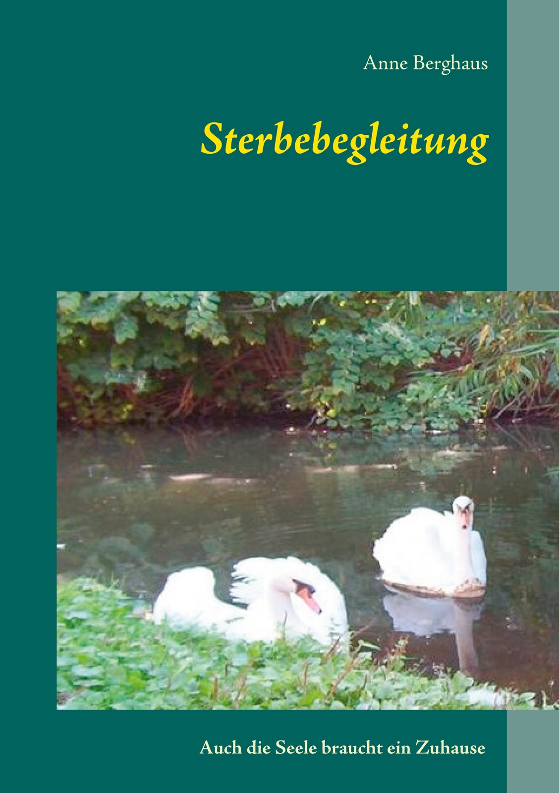 Thumbnail - Sterbebegleitung (buch)