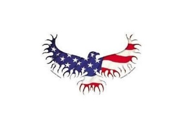 AMERICAN FLAG EAGLE 5-3/4'' x 3-3/4'' Die-cut sticker (Y559) (#114)
