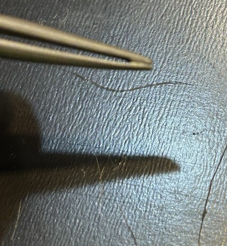 Vintage Maybelline Tweezers Angled tip Made In USA 3" Nice Heavy Rare Vanity MCM - Picture 2 of 2