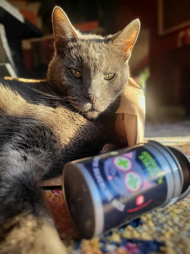 Smokeys Stash Silver vine and catnip blend 3 containers per pack SIlvervine - Image 2 of 3