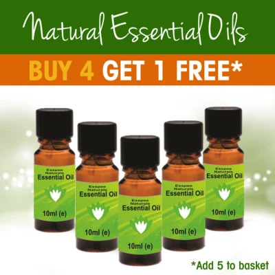 ESSPEE NATURALS Rosemary Essential Oil 10ml - 100% Pure - For Aromatherapy & Home Fragrance