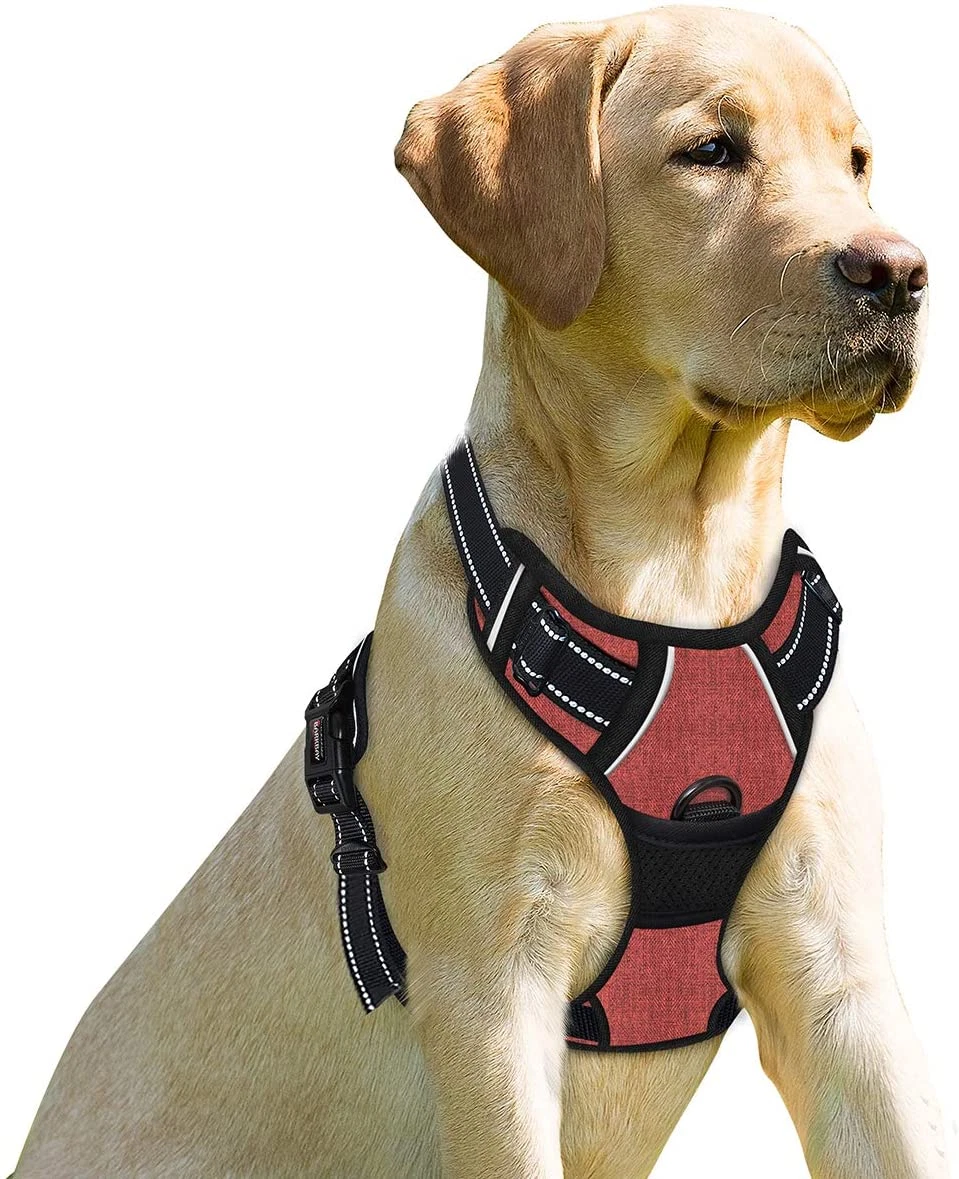 Front 2024 clipping harness