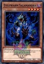 1st Ed Evilswarm Salamandra EGO1-EN014 Yugioh