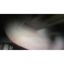 Catalyseurs Rover 200