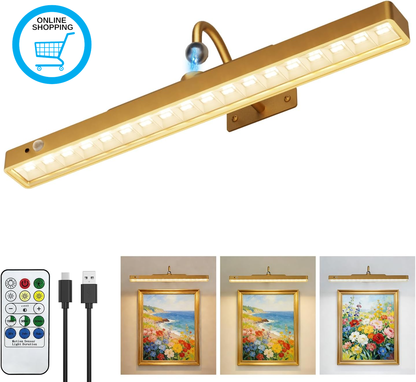 16'' Wireless Picture Lights for Wall, 6000Mah Rechargeable Battery Operated Lig