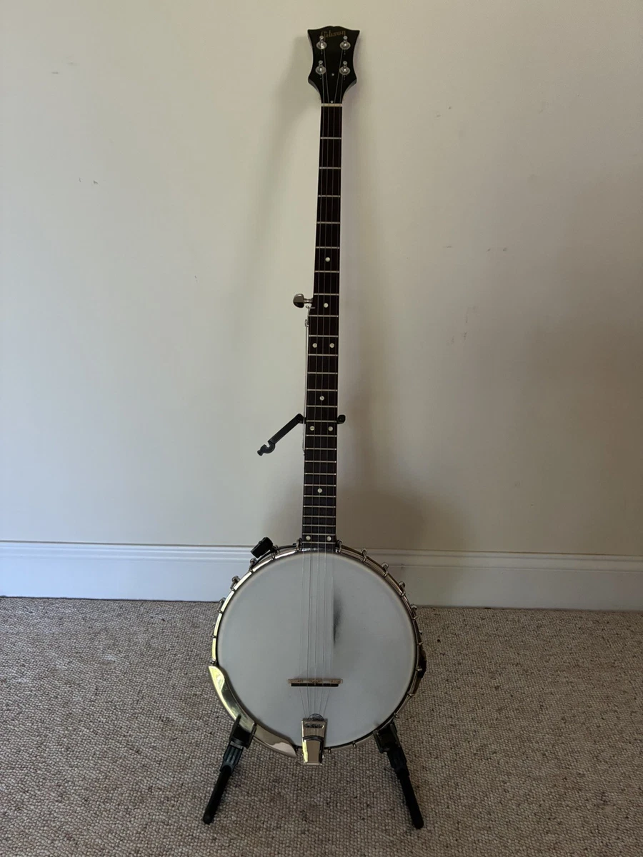 Long Neck Banjo for sale | eBay