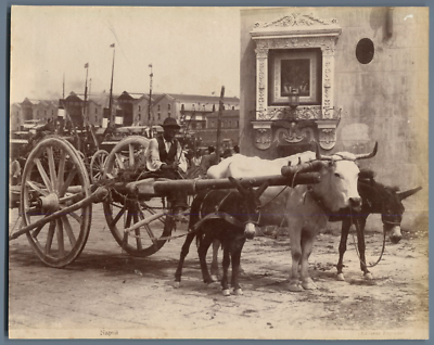 Tirage Albuminé Vintage Italie Costumes Naples Esposito Vers 1870 - Format 20x25 Cm - Photo Ancienne