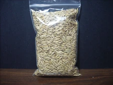 High Quality Oat Seed Cat Grass OTANA OAT SEED 6 oz