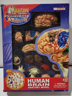4D Master 2005 NEW Human Brain Anatomy Puzzle  26056 FREE SHIPPING