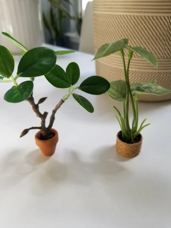 Miniature Dollhouse Plant / Plants (Set of 4) - Image 2 of 4