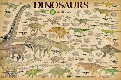 Smithsonian Institution Dinosaurs Species Educational Science Chart Poster