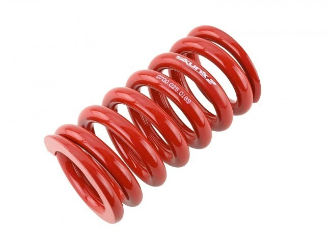 Muelle de carrera SKUNK2 Coilover para Honda Civic S2000 Acura Integra RSX 521-99-1040 Foto 3 de 4