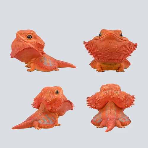 Lagarto Caja Ciega Animal Planet 16 Iguana Iguana Cyclura Lewisi Juguetes Figura de Resina - Imagen 17 de 26