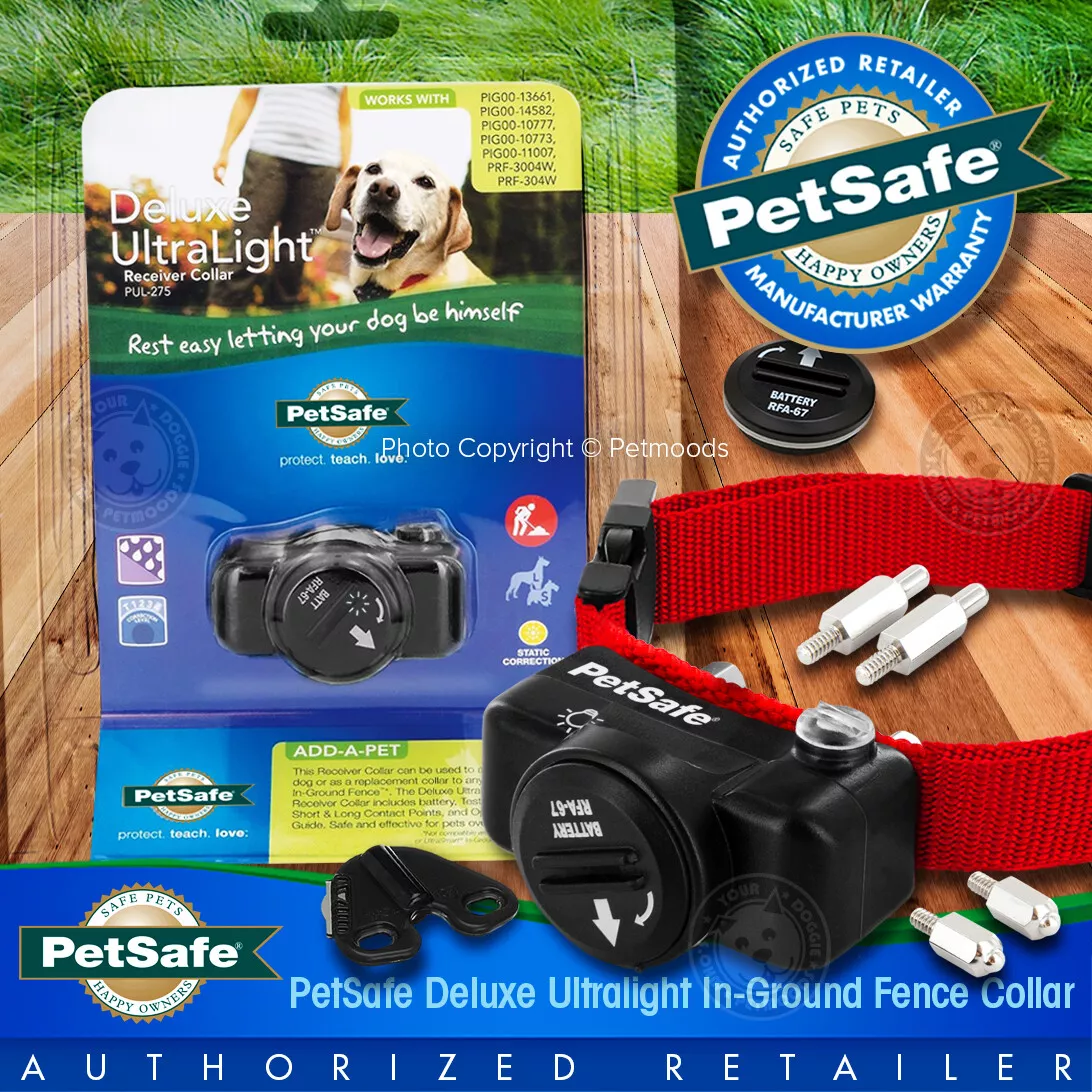 Deluxe ultralight receiver collar cheap