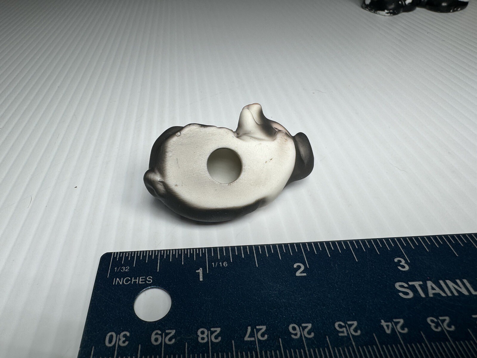 Picture 5 of 5