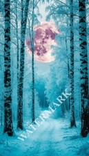 Digital Image Fairy Moon Winter Forest Picture Wallpaper Desktop Wall Art A25