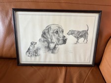 Old Framed Pencil drawing of a Labrador.