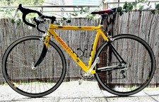 Rennrad Wilier Lavaredo Altec 2 plus mit Campagnolo Daytona 28" / 49cm Rahmen