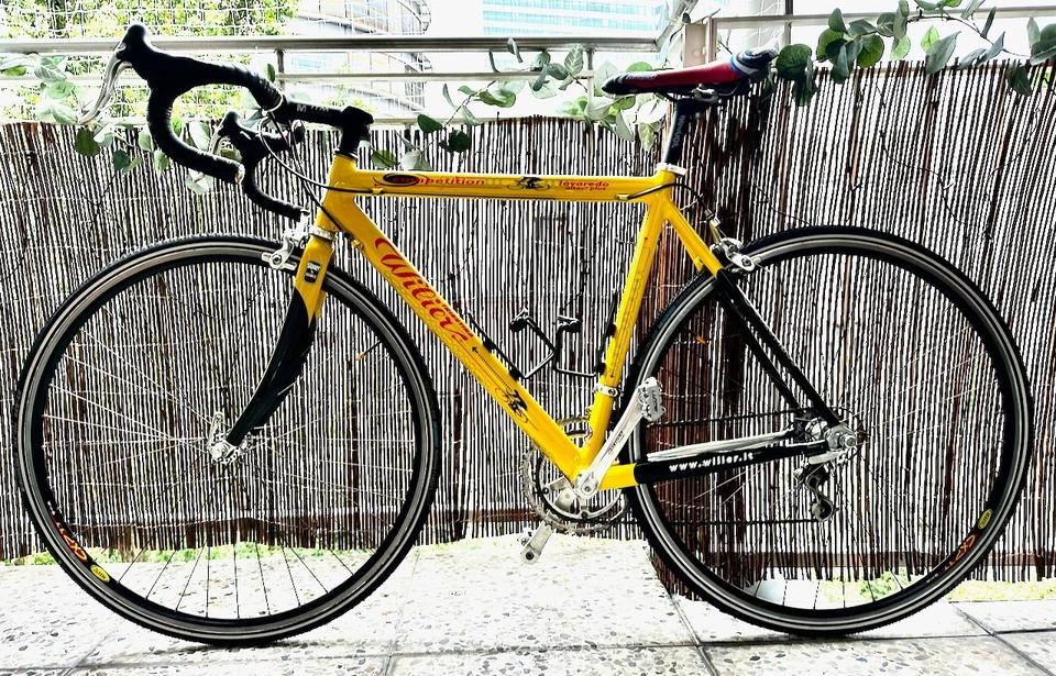 Rennrad Wilier Lavaredo Altec 2 plus mit Campagnolo Daytona 28" / 49cm Rahmen