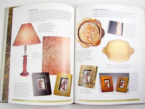 Watson-Guptill Crafts Ser.: Decorative Paint Finishes for the Home Andy Jones PB - Foto 9 di 10