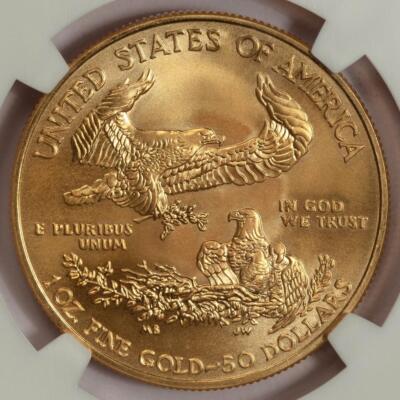 2009 NGC MS69 Struck Thru 1oz Gold Eagle $50 Mint Error 