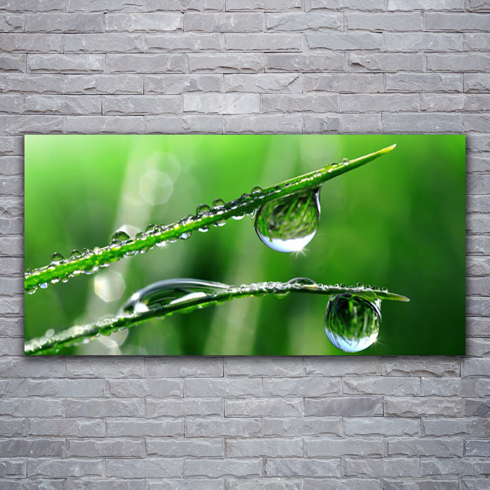 Image sur verre acrylique 120x60 cm tableau floral herbe verte