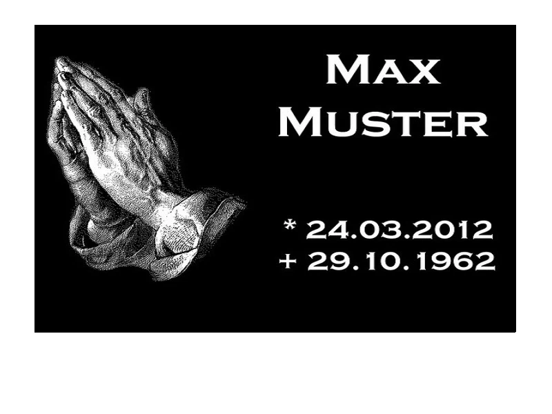 Bild 6 von 12