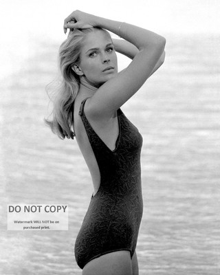 CANDICE BERGEN ACTRESS AND FASHION MODEL PIN UP - 8X10 PHOTO (AZ-746)