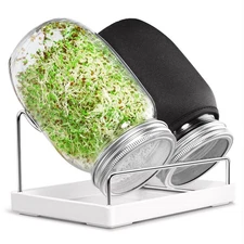 Seed Sprouting Jar Kit - 2 Wide Mouth Mason Jars with 316 Stainless Steel Spr...