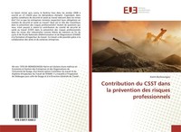Contribution Du Csst Dans La PréVention Des Risques Professionnels Karim Bonkoun