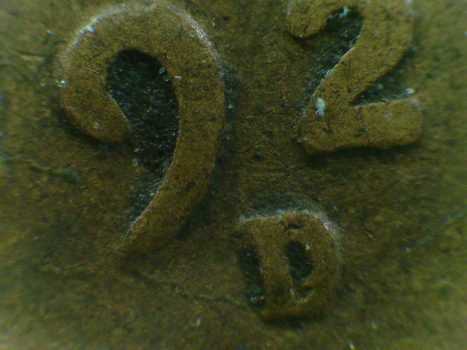 Picture 1 of 5