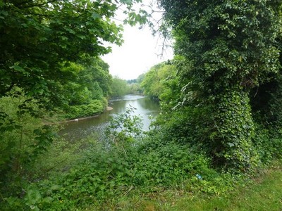 Photo A3 Looking downstream Cheadle/SJ8688 The Mersey seen from the roa c2013
