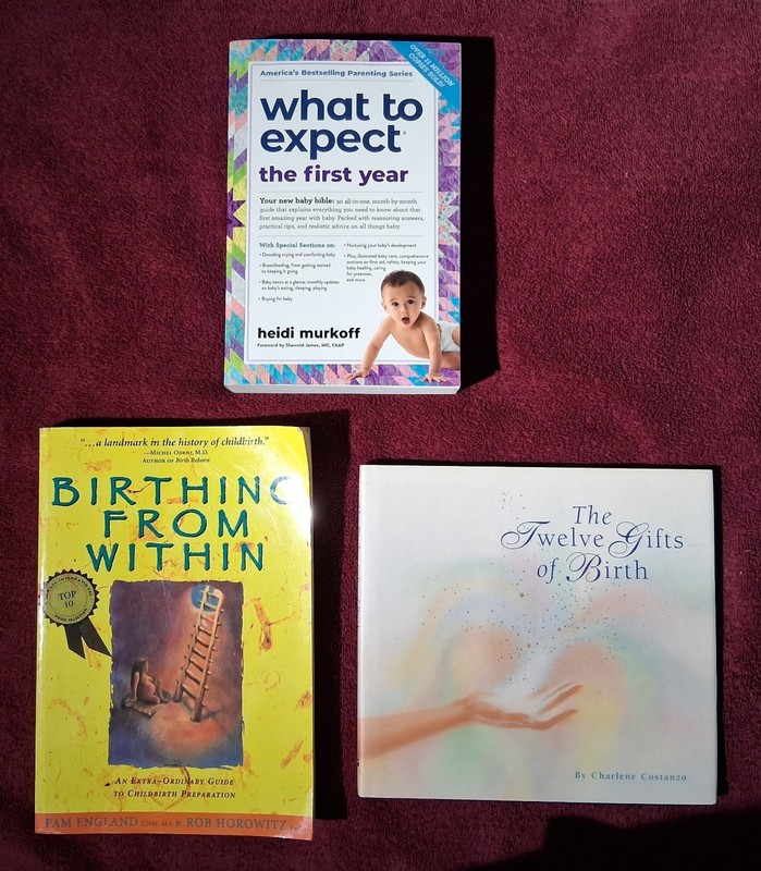 Lot of 3 Pregnancy Parenting Books What To Expect The First Year 2024 Birthing