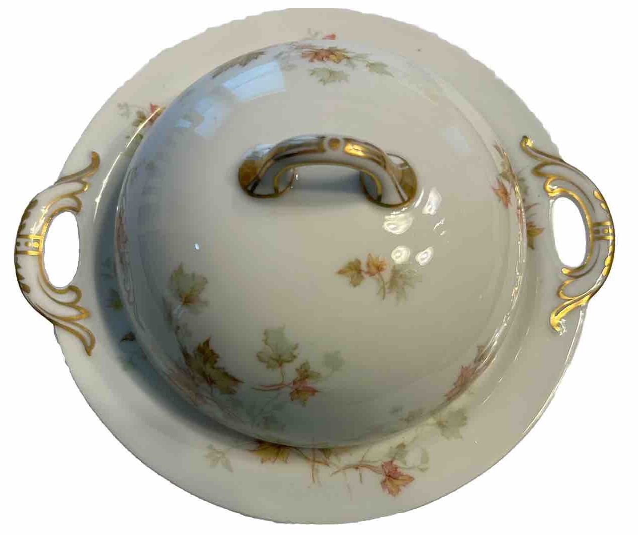 Haviland Limoges Autumn Leaf China Covered Butter Dish With Drain (RARE