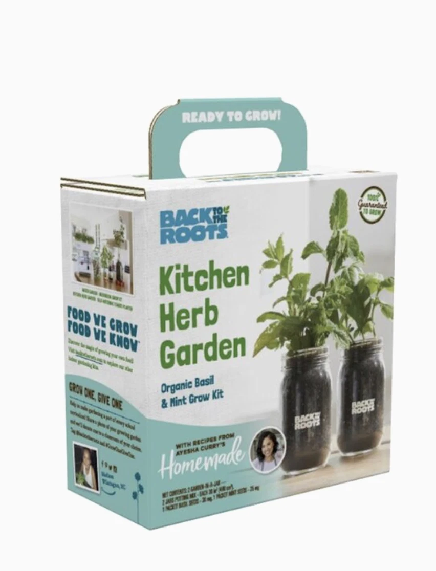 Back to the Roots Kitchen Herb Garden Organic Basil & Mint Mason Jar Grow Kit