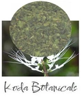 JAVA TEA Herbal Tea PREMIUM GRADE Orthosiphon stamineus Dried Leaf