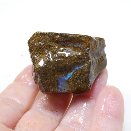222.3 CT Unpolished Natural Rough Australian Boulder Opal Specimen - Picture 3 of 16