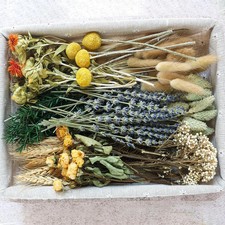 Bulk Dried Flowers with Stems DIY Natural Flower Craft Set