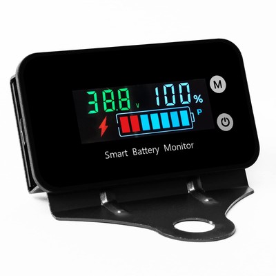 IPX7 Waterproof Battery Monitor 7-100V with Buzzer Alarm & Temp Display