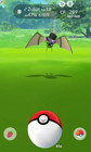 ✨ Bundle of 3 Shiny Zubat Costume ✨ 2026 Pokemon Go PTC