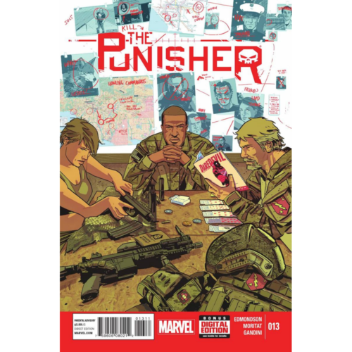 Punisher #13 - Picture 1 of 1