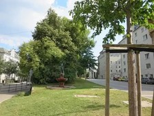 Augsburg am Kö, Büro- od. Seminar, Praxis, Archiv mit 26 m² + 8 m² zu vermieten