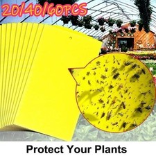 20x Yellow Sticky Fly Trap Bug Insect Catcher Trap Paper Killer Glue Fruit Flies